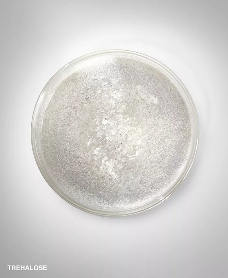 Hydrating Face Moisturizer Cream with Hyaluronic Acid, 1.7 Oz